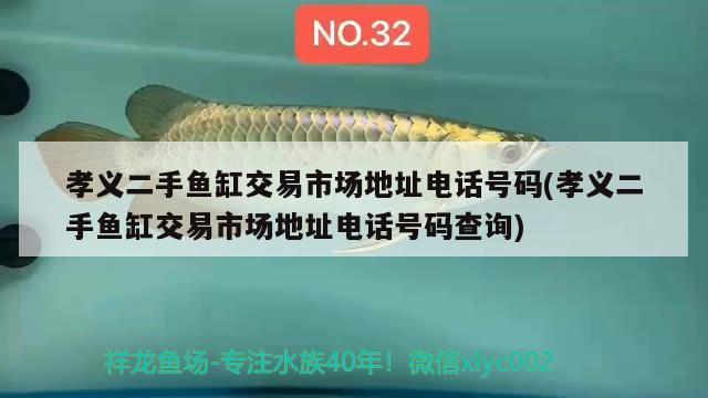 孝义二手鱼缸交易市场地址电话号码(孝义二手鱼缸交易市场地址电话号码查询)