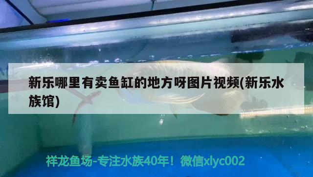 新乐哪里有卖鱼缸的地方呀图片视频(新乐水族馆)