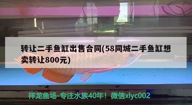 转让二手鱼缸出售合同(58同城二手鱼缸想卖转让800元) 祥龙鱼药系列