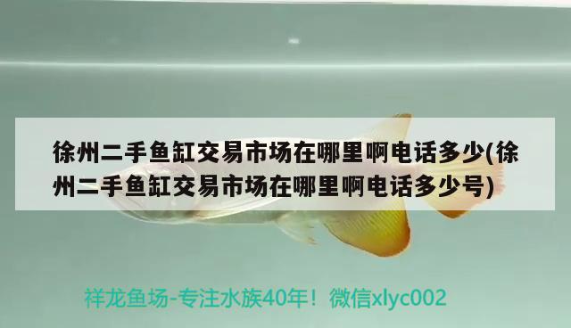 徐州二手鱼缸交易市场在哪里啊电话多少(徐州二手鱼缸交易市场在哪里啊电话多少号) 热带鱼鱼苗批发