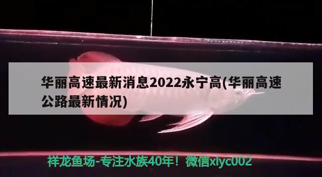 华丽高速最新消息2022永宁高(华丽高速公路最新情况)