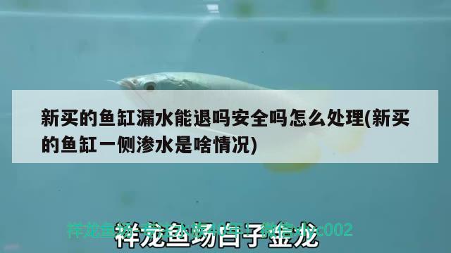 新买的鱼缸漏水能退吗安全吗怎么处理(新买的鱼缸一侧渗水是啥情况) 水草