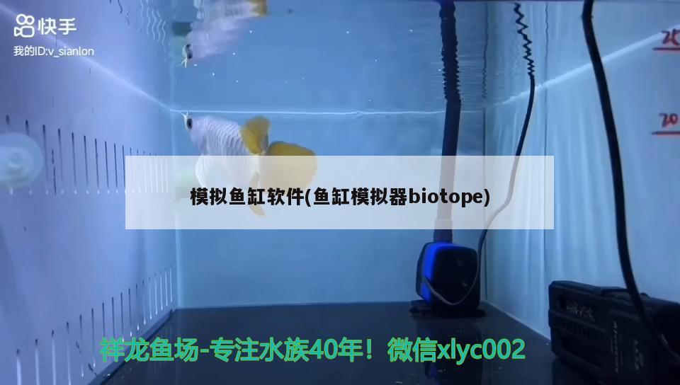 模拟鱼缸软件(鱼缸模拟器biotope)