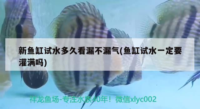 新鱼缸试水多久看漏不漏气(鱼缸试水一定要灌满吗) 月光鸭嘴鱼苗