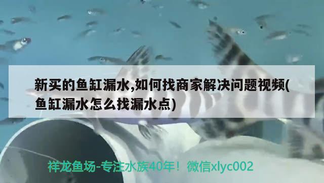 新买的鱼缸漏水,如何找商家解决问题视频(鱼缸漏水怎么找漏水点)