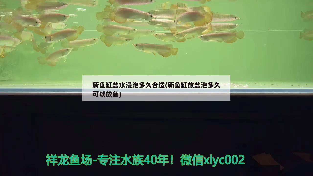 新鱼缸盐水浸泡多久合适(新鱼缸放盐泡多久可以放鱼) 祥龙赫舞红龙鱼