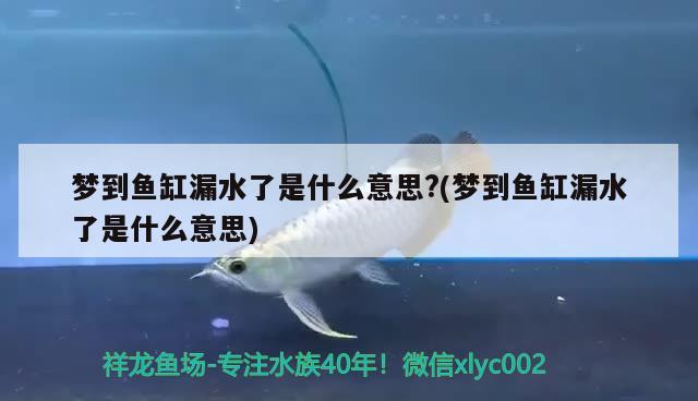 梦到鱼缸漏水了是什么意思?(梦到鱼缸漏水了是什么意思)