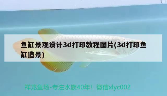 鱼缸景观设计3d打印教程图片(3d打印鱼缸造景) 广州景观设计