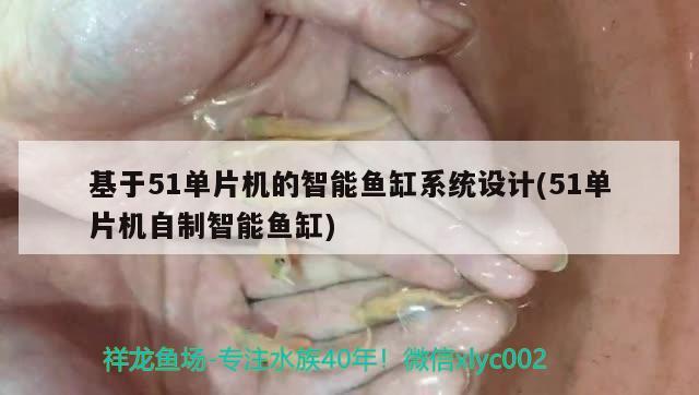 基于51单片机的智能鱼缸系统设计(51单片机自制智能鱼缸)