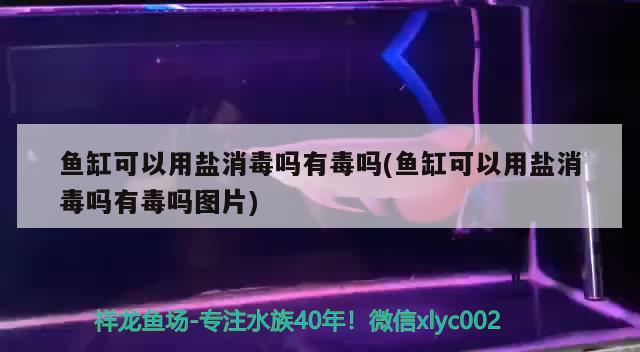 鱼缸可以用盐消毒吗有毒吗(鱼缸可以用盐消毒吗有毒吗图片) 星点金龙鱼