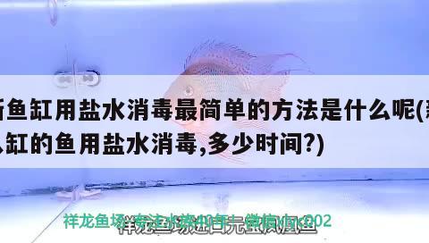 新鱼缸用盐水消毒最简单的方法是什么呢(新入缸的鱼用盐水消毒,多少时间?) 广州观赏鱼鱼苗批发市场