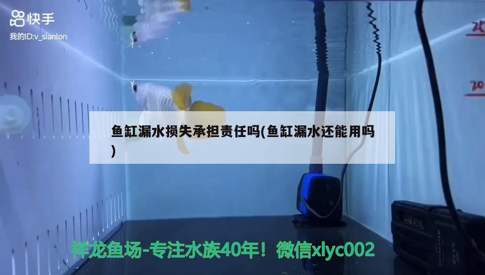 鱼缸漏水损失承担责任吗(鱼缸漏水还能用吗) 观赏鱼水族批发市场