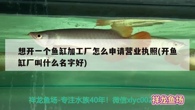 想开一个鱼缸加工厂怎么申请营业执照(开鱼缸厂叫什么名字好)