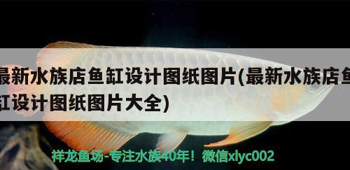 最新水族店鱼缸设计图纸图片(最新水族店鱼缸设计图纸图片大全) 祥龙鱼场其他产品