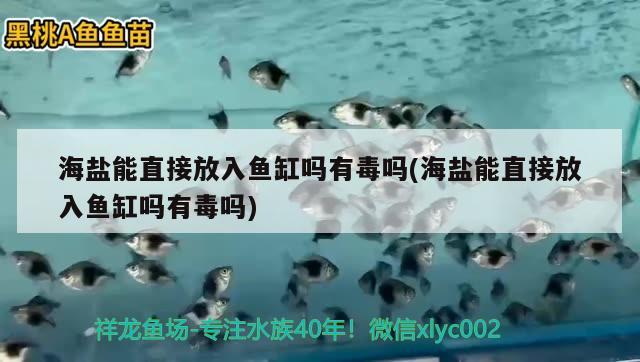 海盐能直接放入鱼缸吗有毒吗(海盐能直接放入鱼缸吗有毒吗) 鱼缸等水族设备