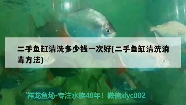 二手鱼缸清洗多少钱一次好(二手鱼缸清洗消毒方法) 黄宽带蝴蝶鱼