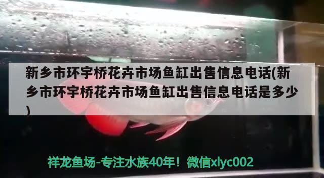 新乡市环宇桥花卉市场鱼缸出售信息电话(新乡市环宇桥花卉市场鱼缸出售信息电话是多少)