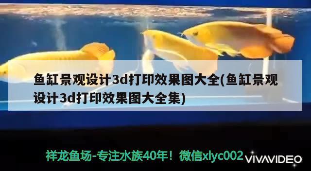 鱼缸景观设计3d打印效果图大全(鱼缸景观设计3d打印效果图大全集)