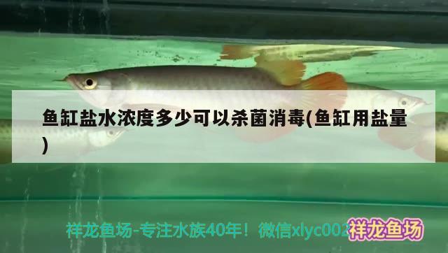 鱼缸盐水浓度多少可以杀菌消毒(鱼缸用盐量)