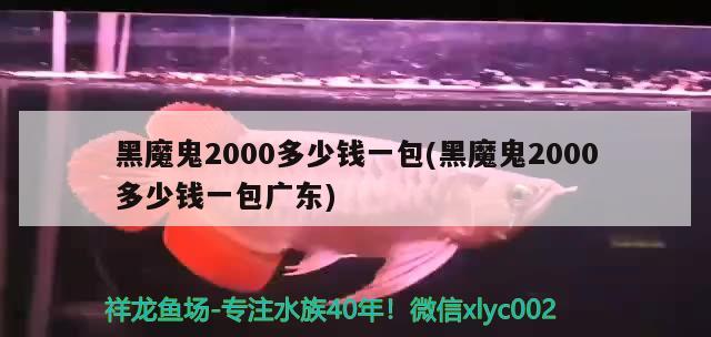 黑魔鬼2000多少钱一包(黑魔鬼2000多少钱一包广东) 观赏鱼