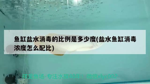 鱼缸盐水消毒的比例是多少度(盐水鱼缸消毒浓度怎么配比) 印尼小红龙