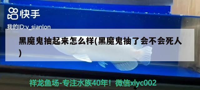 黑魔鬼抽起来怎么样(黑魔鬼抽了会不会死人) 观赏鱼