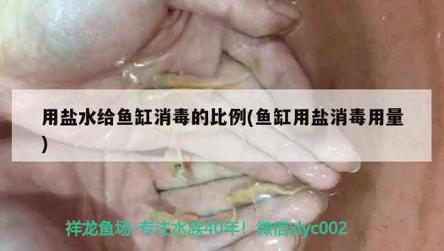 用盐水给鱼缸消毒的比例(鱼缸用盐消毒用量) 泰庞海鲢鱼