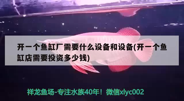 开一个鱼缸厂需要什么设备和设备(开一个鱼缸店需要投资多少钱)