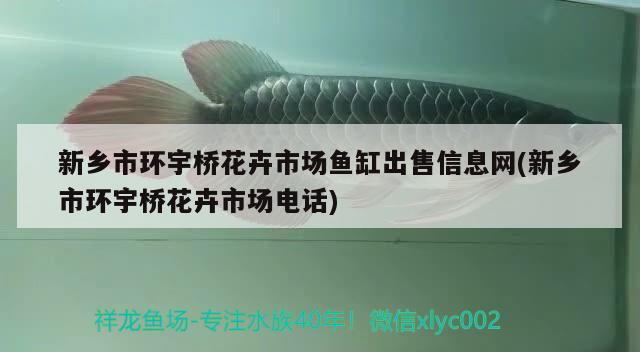 新乡市环宇桥花卉市场鱼缸出售信息网(新乡市环宇桥花卉市场电话) 养鱼知识