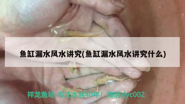 鱼缸漏水风水讲究(鱼缸漏水风水讲究什么)