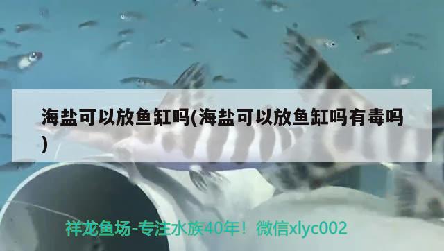 海盐可以放鱼缸吗(海盐可以放鱼缸吗有毒吗)