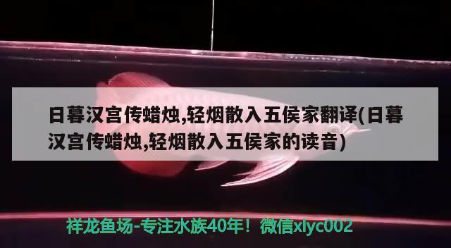 日暮汉宫传蜡烛,轻烟散入五侯家翻译(日暮汉宫传蜡烛,轻烟散入五侯家的读音)