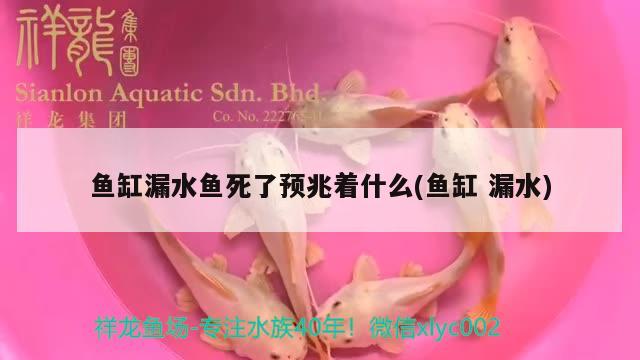 鱼缸漏水鱼死了预兆着什么(鱼缸漏水) 孵化器