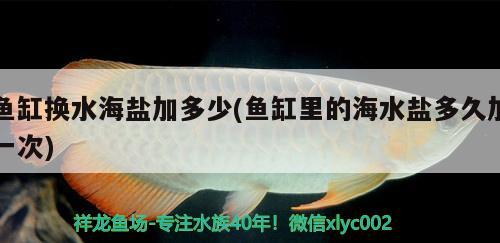 鱼缸换水海盐加多少(鱼缸里的海水盐多久加一次) 鹦鹉鱼