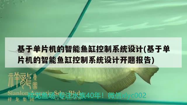 基于单片机的智能鱼缸控制系统设计(基于单片机的智能鱼缸控制系统设计开题报告)