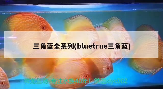 三角蓝全系列(bluetrue三角蓝)