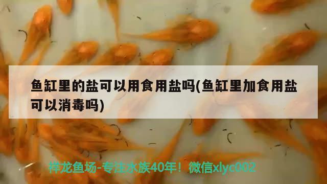 鱼缸里的盐可以用食用盐吗(鱼缸里加食用盐可以消毒吗)