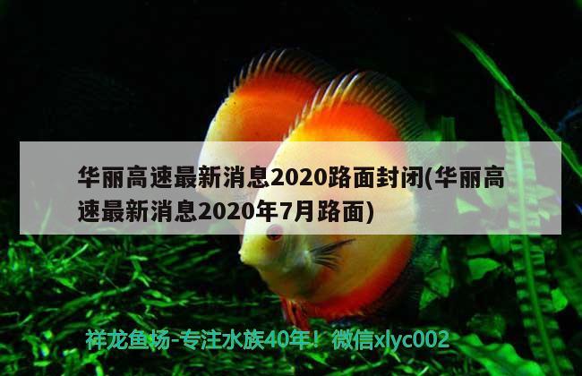 华丽高速最新消息2020路面封闭(华丽高速最新消息2020年7月路面)