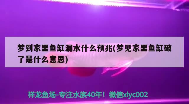 梦到家里鱼缸漏水什么预兆(梦见家里鱼缸破了是什么意思) 红龙专用鱼粮饲料