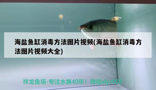 海盐鱼缸消毒方法图片视频(海盐鱼缸消毒方法图片视频大全) 二氧化碳设备