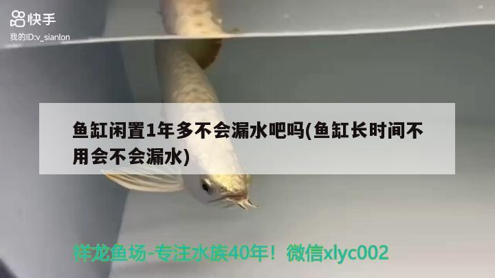 鱼缸闲置1年多不会漏水吧吗(鱼缸长时间不用会不会漏水)