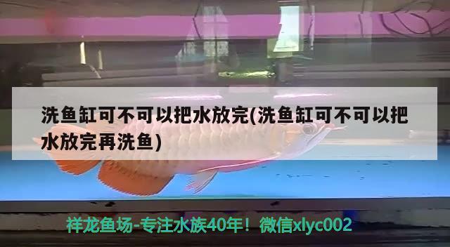 洗鱼缸可不可以把水放完(洗鱼缸可不可以把水放完再洗鱼) 纯血皇冠黑白魟鱼