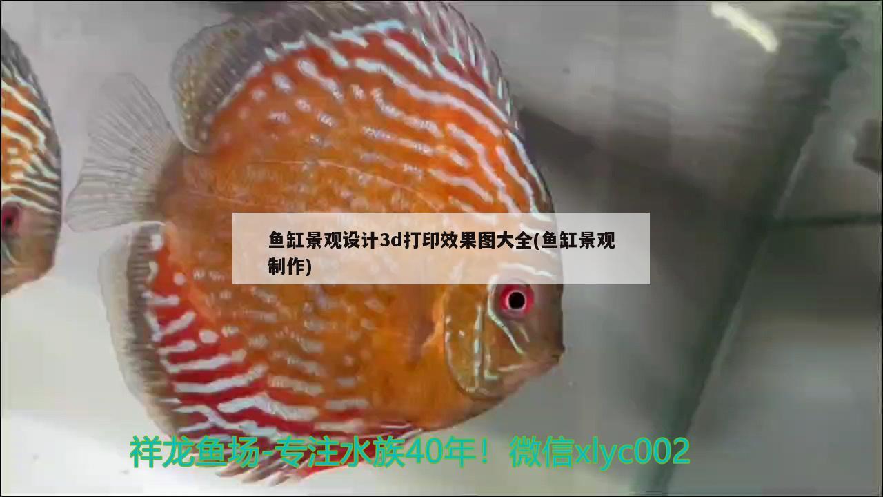 鱼缸景观设计3d打印效果图大全(鱼缸景观制作) 广州景观设计