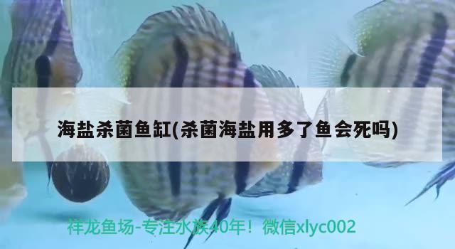 海盐杀菌鱼缸(杀菌海盐用多了鱼会死吗)