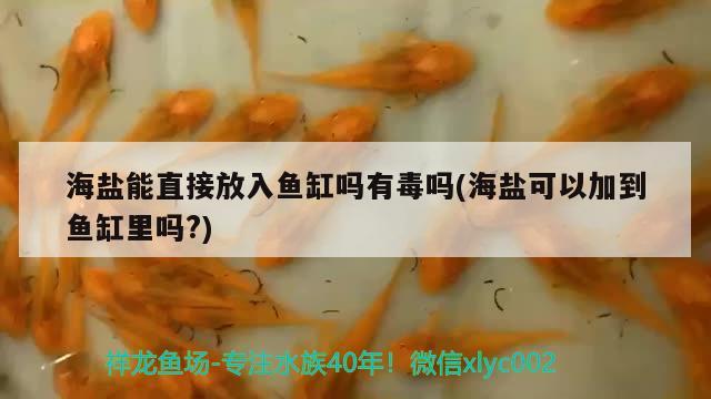 海盐能直接放入鱼缸吗有毒吗(海盐可以加到鱼缸里吗?)