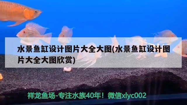 水景鱼缸设计图片大全大图(水景鱼缸设计图片大全大图欣赏)