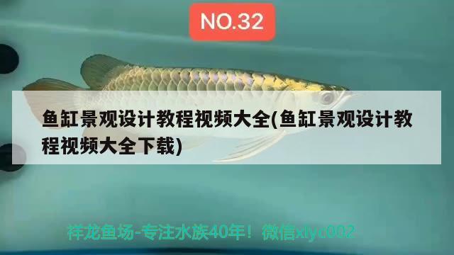 鱼缸景观设计教程视频大全(鱼缸景观设计教程视频大全下载) 广州景观设计