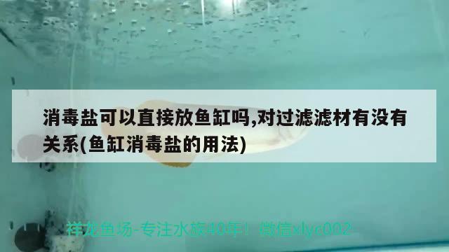 消毒盐可以直接放鱼缸吗,对过滤滤材有没有关系(鱼缸消毒盐的用法)