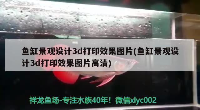 鱼缸景观设计3d打印效果图片(鱼缸景观设计3d打印效果图片高清) 广州景观设计