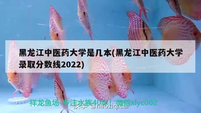 黑龙江中医药大学是几本(黑龙江中医药大学录取分数线2022)